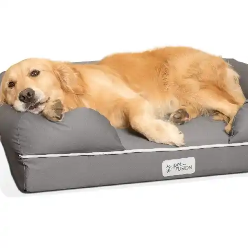 A golden retriever lies relaxed on a gray rectangular orthopedic dog bed with a cushioned base and raised edges, resting its head comfortably while its body is fully supported for joint relief.